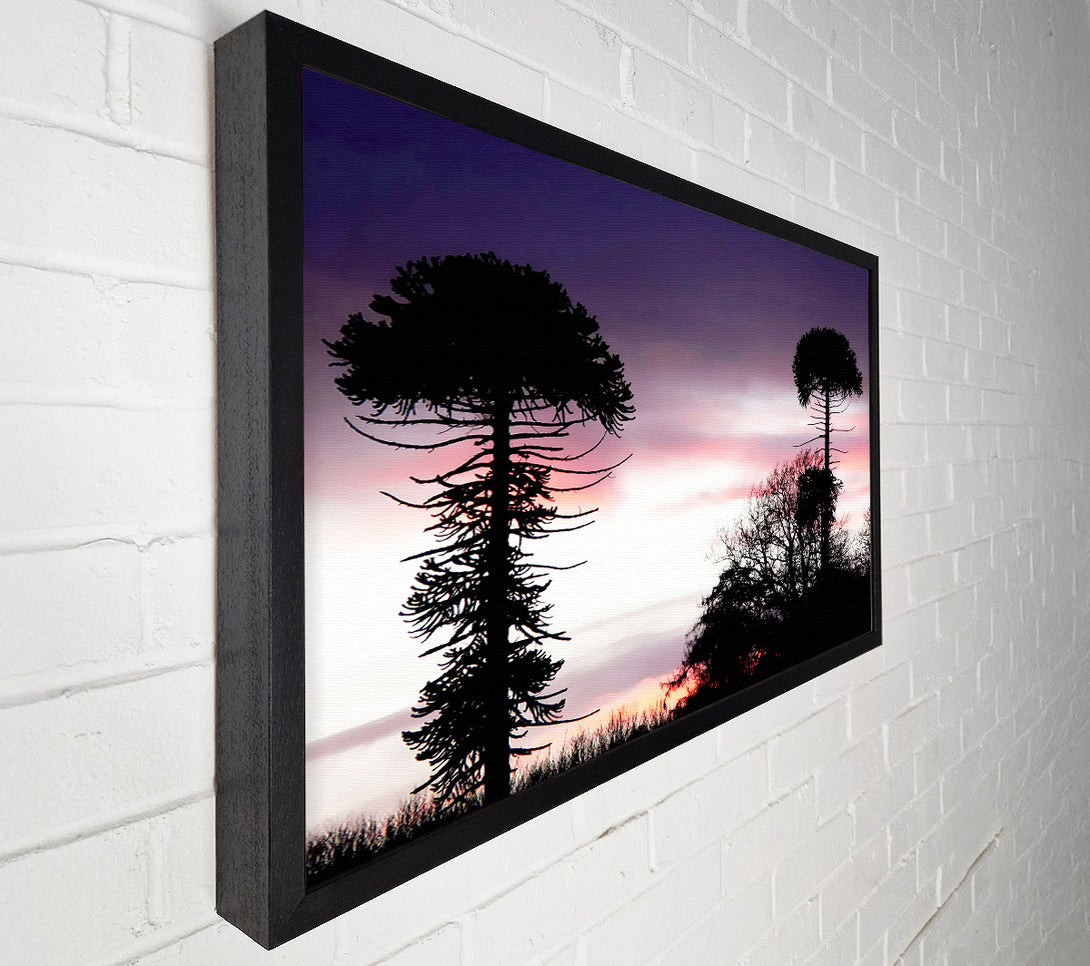  A Canvas Print of Lavender Skies Canvas Print