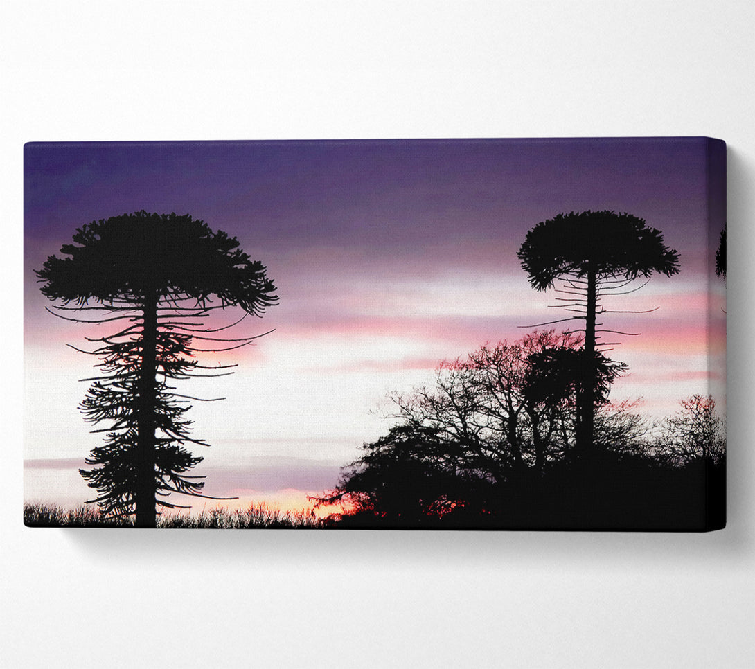  A Canvas Print of Lavender Skies Canvas Print