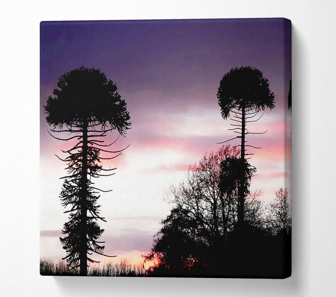  A Canvas Print of Lavender Skies Canvas Print