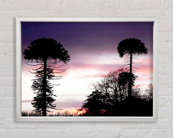 Lavender Skies Framed Print