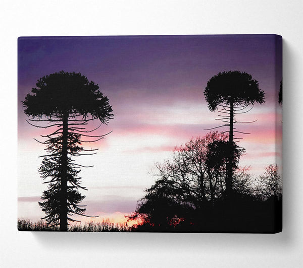  A Canvas Print of Lavender Skies Canvas Print