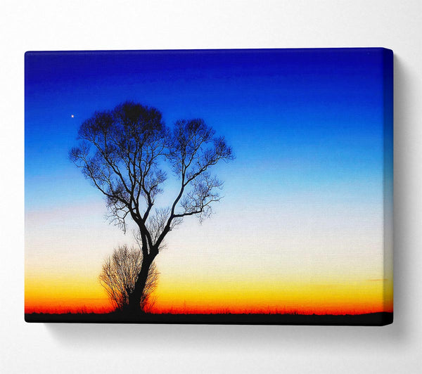  A Canvas Print of Magical Skies Canvas Print