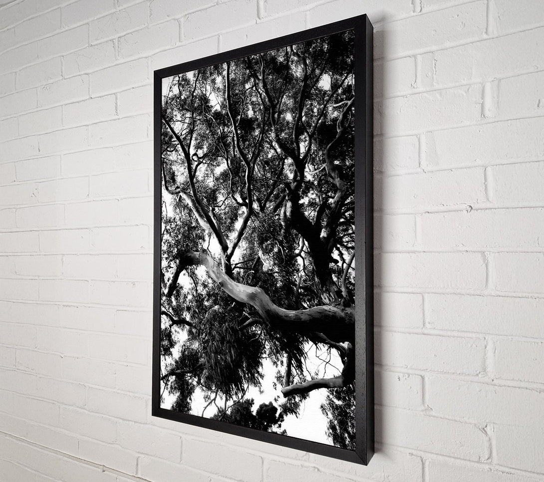  A Canvas Print of Tree In The Wind B n W Canvas Print