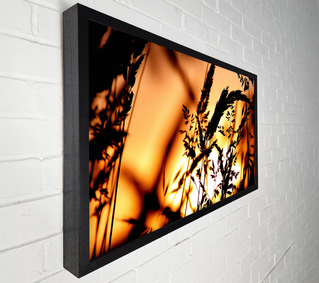  A Canvas Print of Reed Sunset Canvas Art