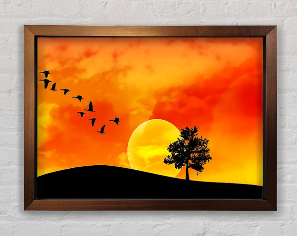 Migrate Framed Print