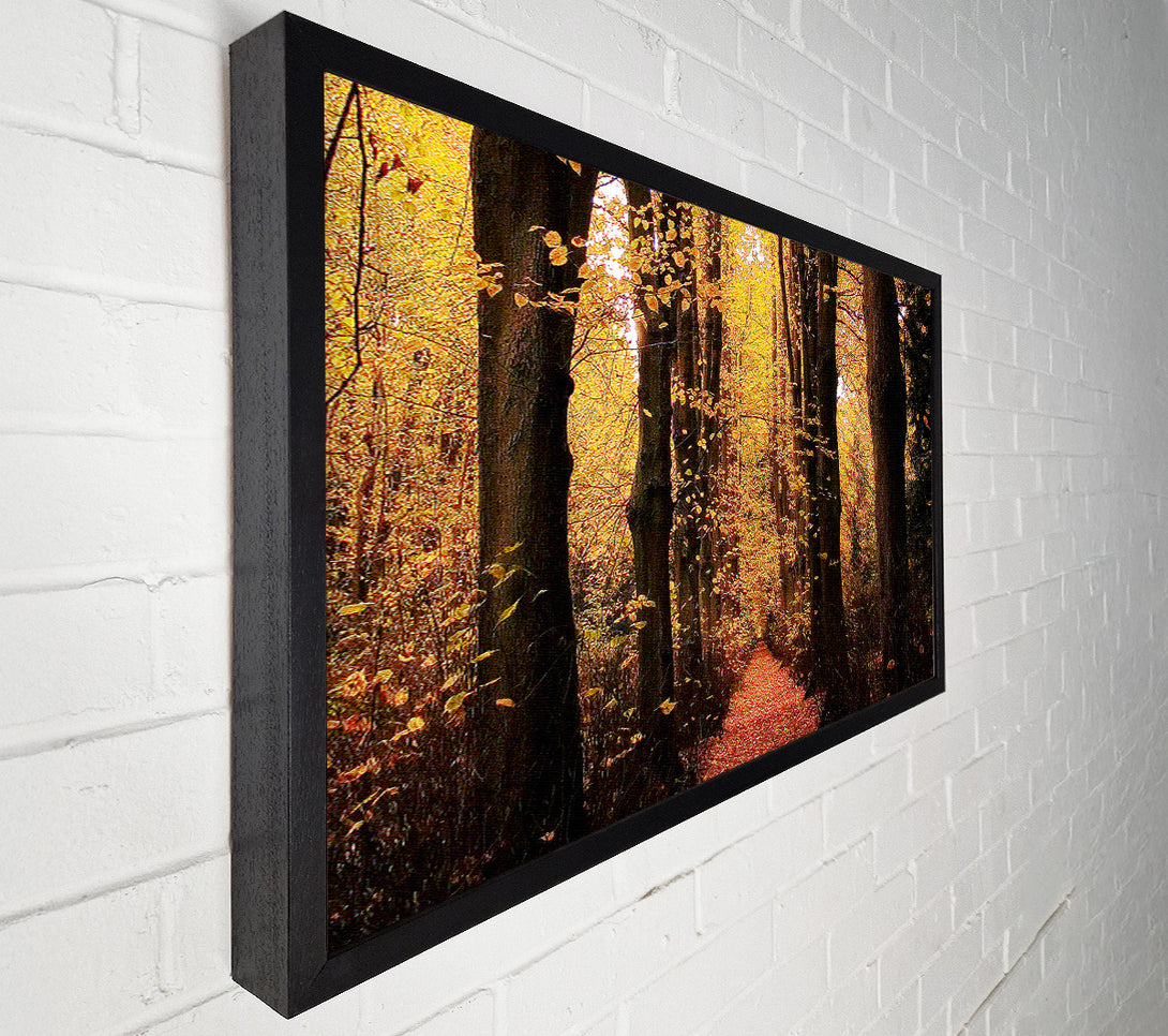  A Canvas Print of Woodland Walkway Canvas Wall Art