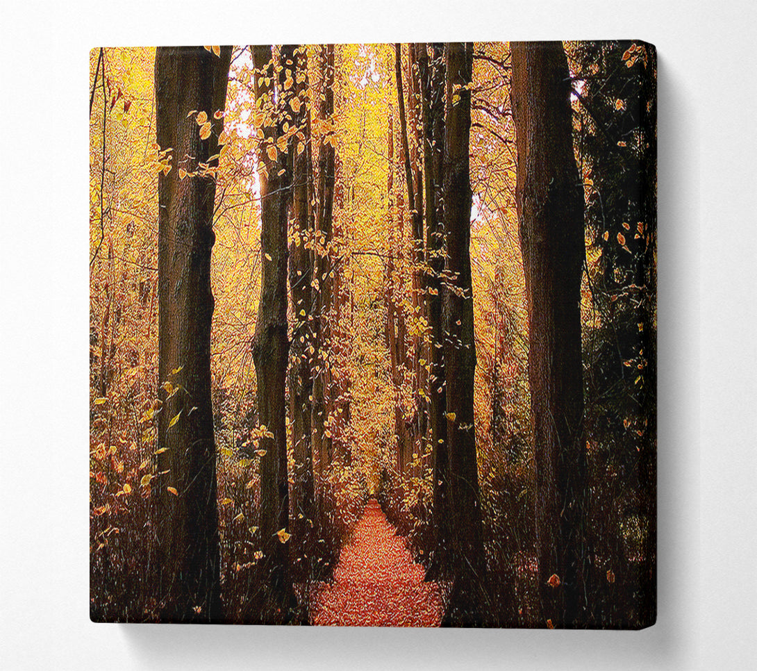  A Canvas Print of Woodland Walkway Canvas Wall Art