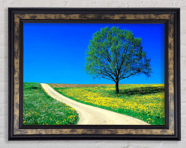 The Lonely Tree Road Framed Print