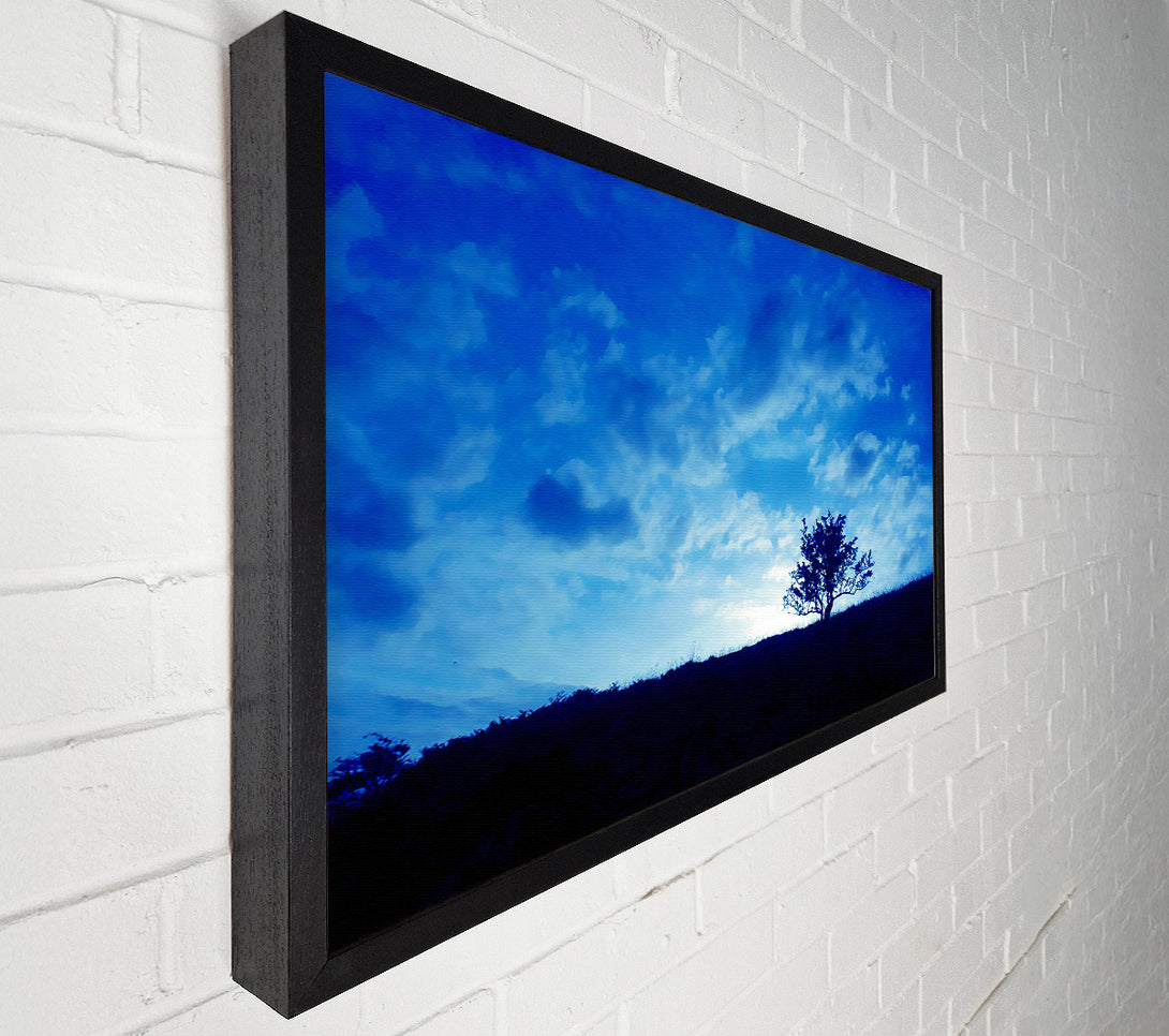  A Canvas Print of Morning Tree Canvas Art