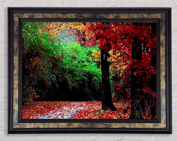 The Autumn Red Road Framed Print