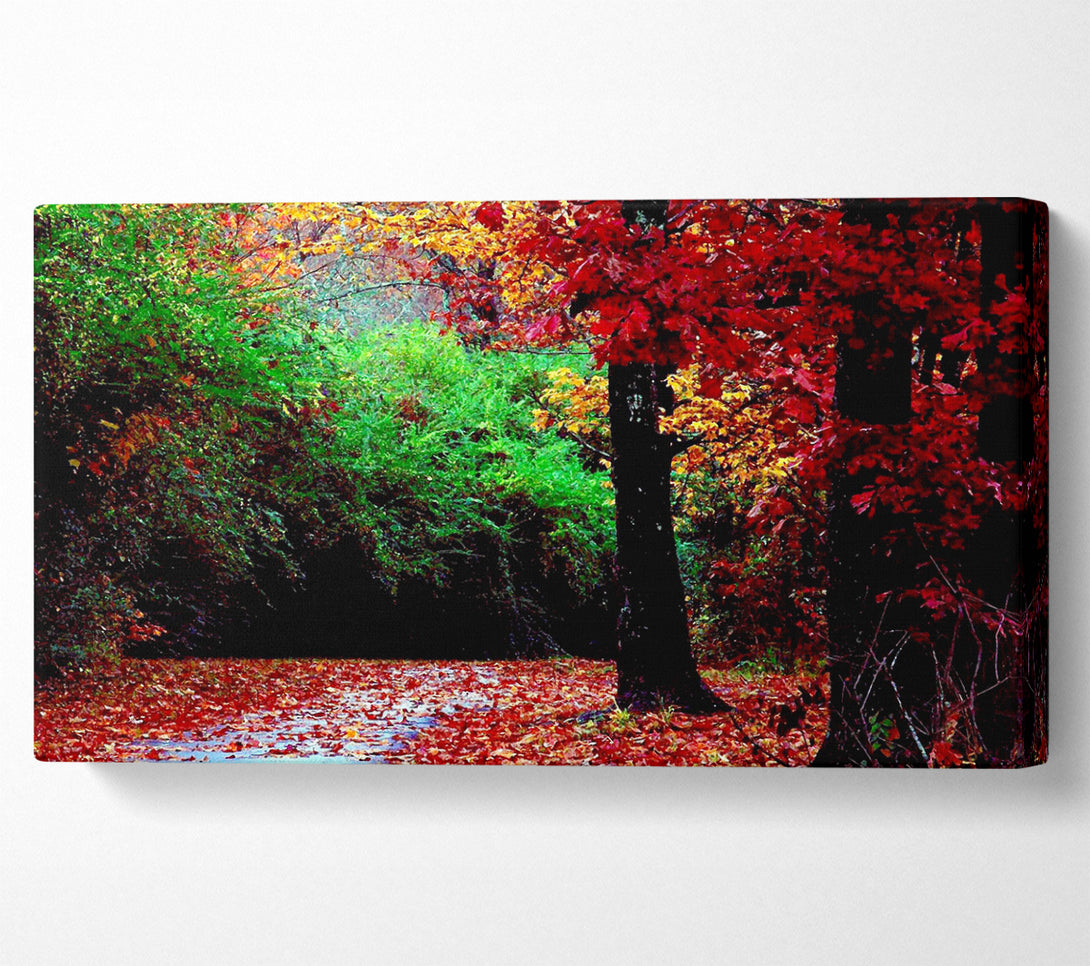  A Canvas Print of The Autumn Red Road Canvas Print