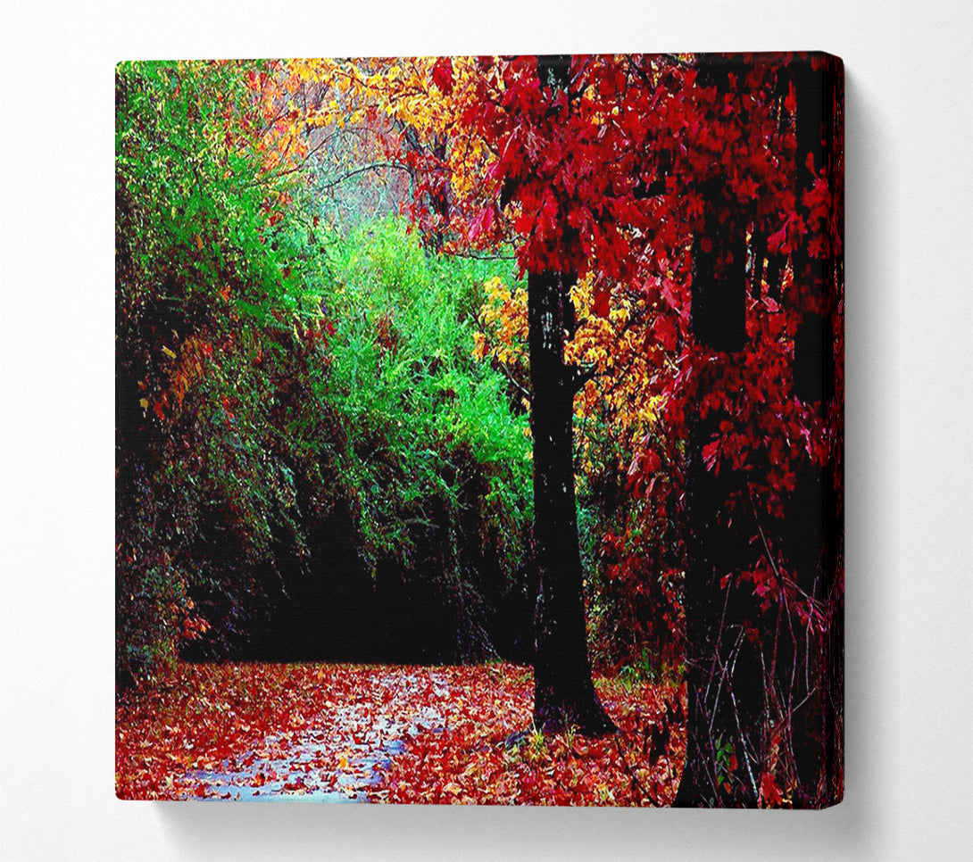  A Canvas Print of The Autumn Red Road Canvas Print
