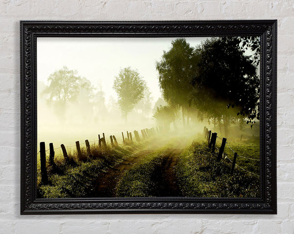 Country Lane Mist Framed Print