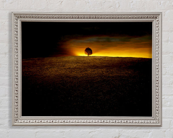 Lonely Tree At First Light Framed Print