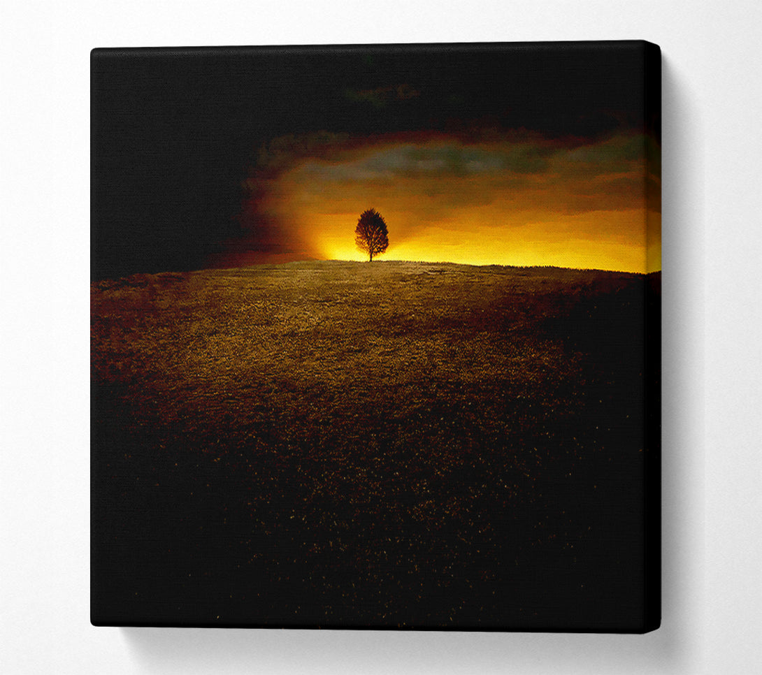  A Canvas Print of Lonely Tree At First Light Canvas Print