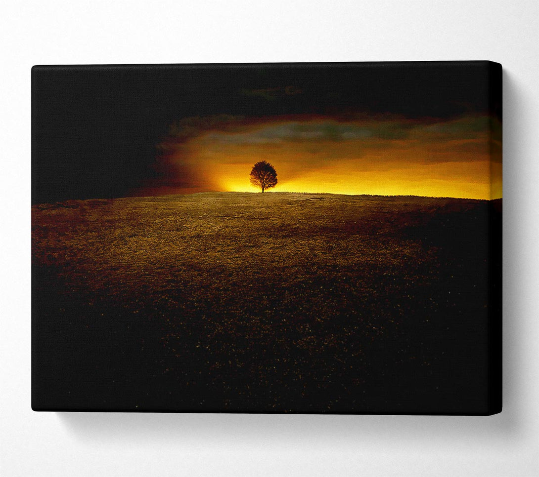 A Canvas Print of Lonely Tree At First Light Canvas Print