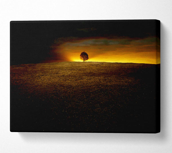  A Canvas Print of Lonely Tree At First Light Canvas Print
