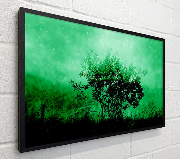 Emerald Tree