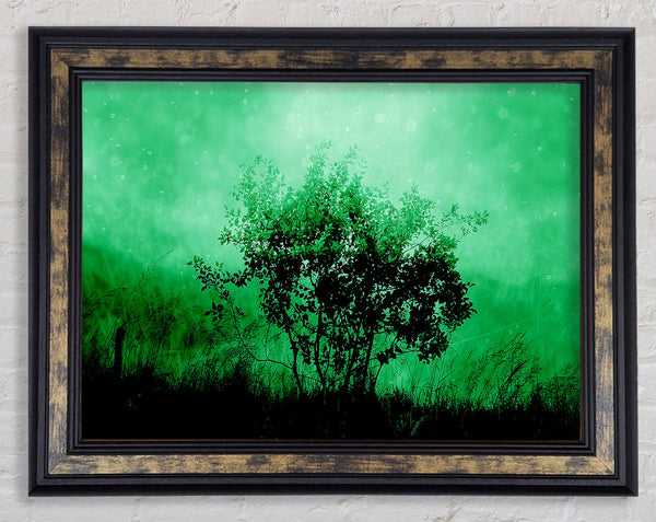 Emerald Tree Framed Print