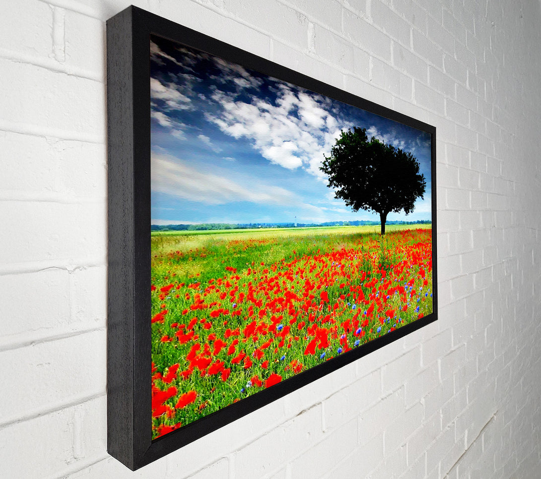  A Canvas Print of Poppy Field Tree Canvas Wall Art