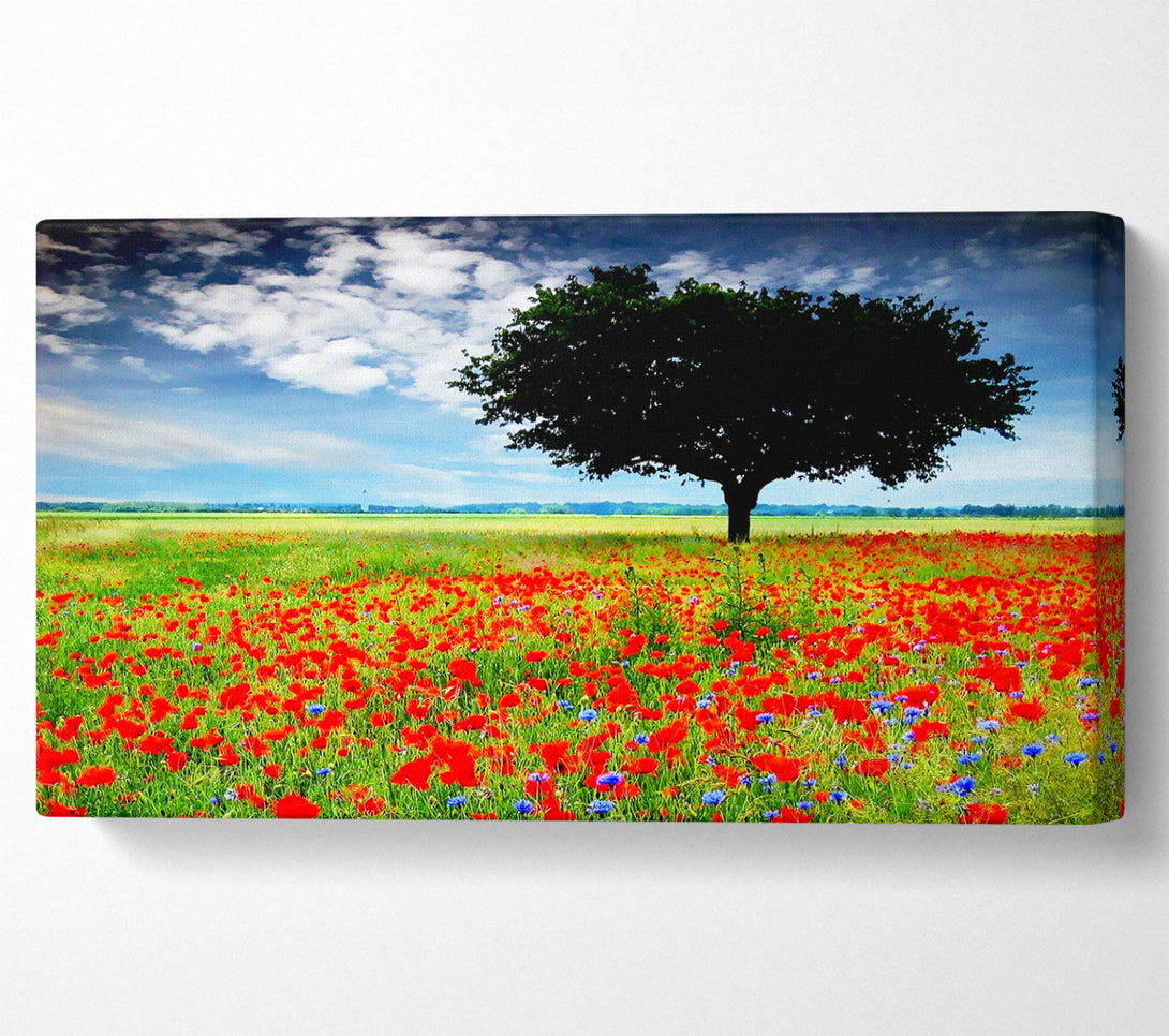  A Canvas Print of Poppy Field Tree Canvas Wall Art