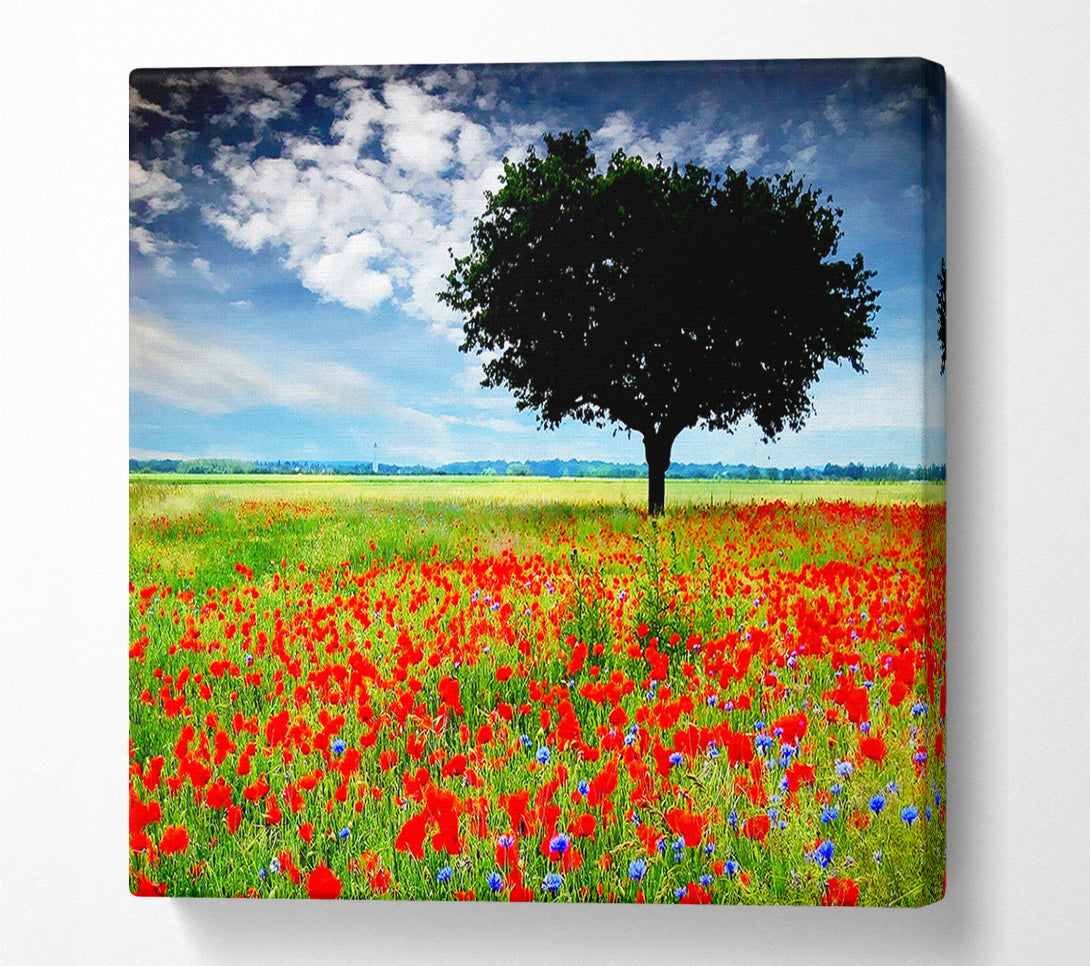 A Canvas Print of Poppy Field Tree Canvas Wall Art