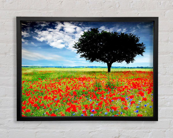Poppy Field Tree Framed Print