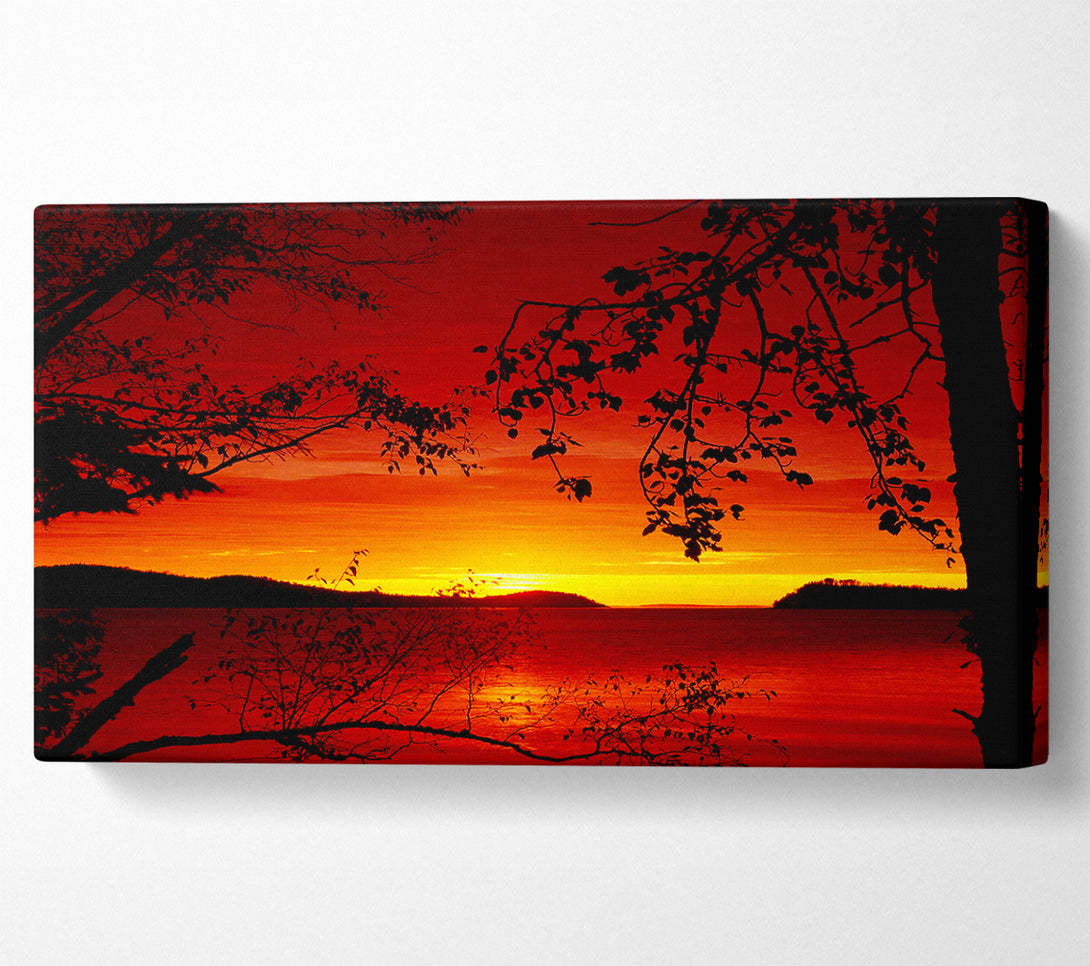  A Canvas Print of Red River Through The Trees Canvas Art