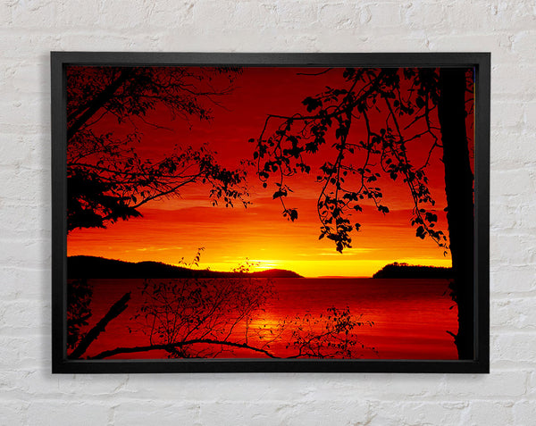 Red River Through The Trees Framed Print