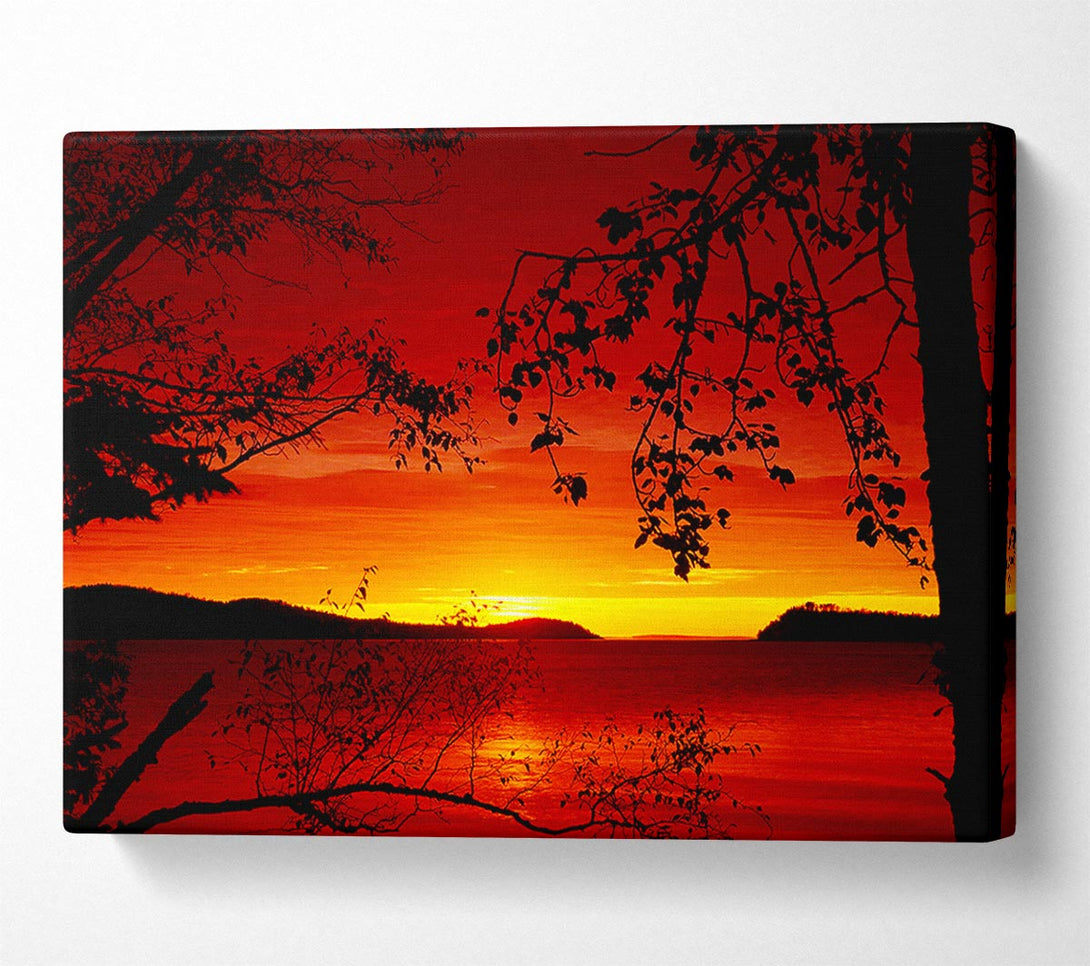  A Canvas Print of Red River Through The Trees Canvas Art