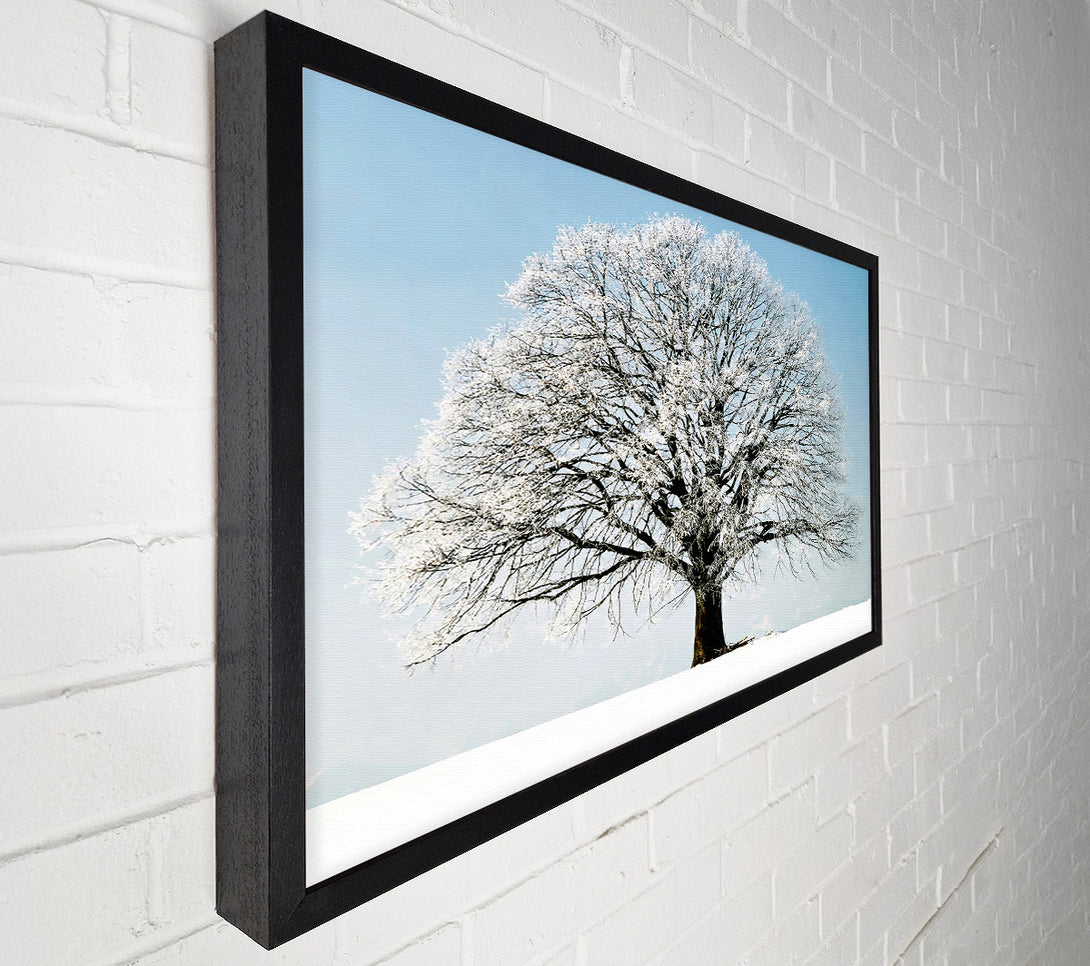  A Canvas Print of Snow Tree Canvas Print