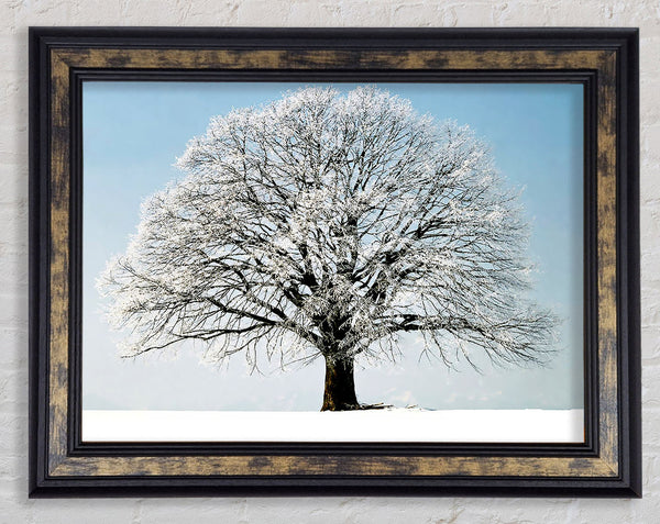 Snow Tree Framed Print