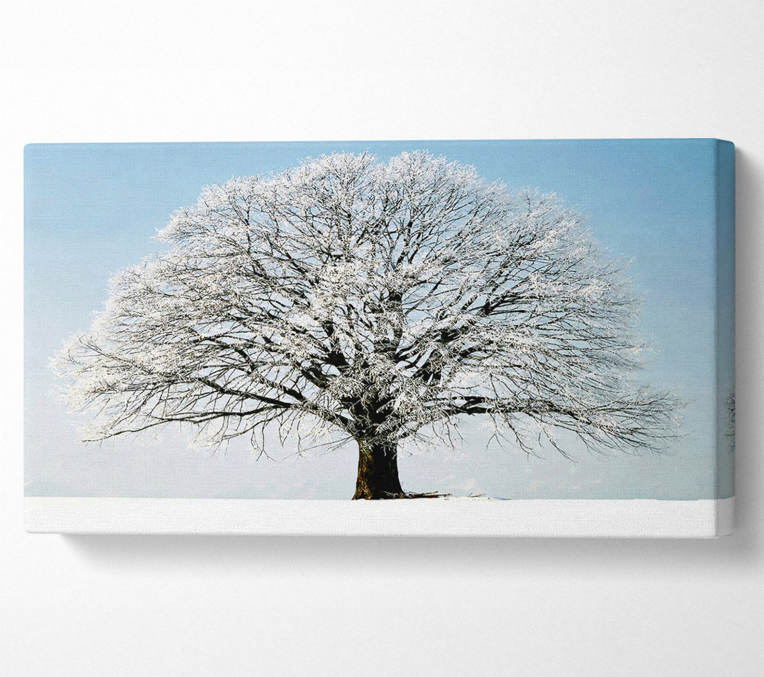  A Canvas Print of Snow Tree Canvas Print