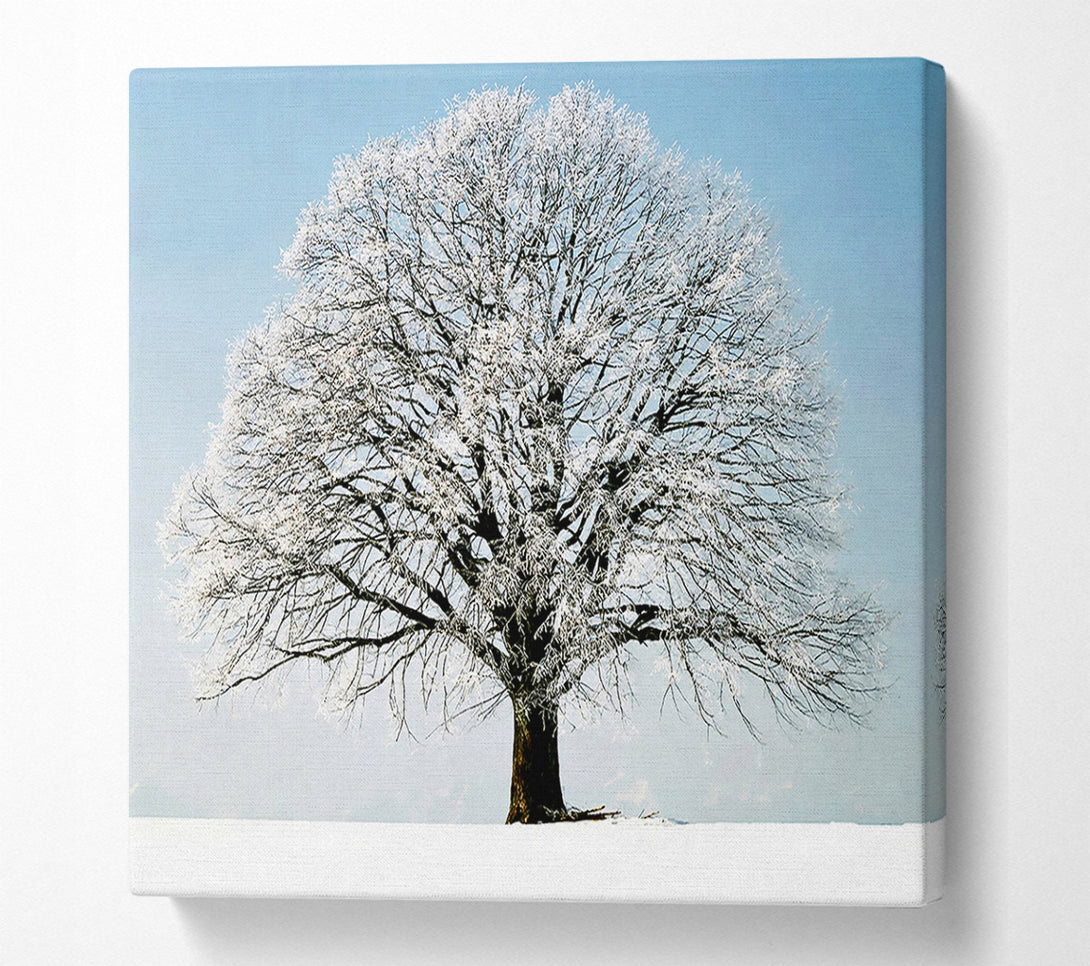  A Canvas Print of Snow Tree Canvas Print