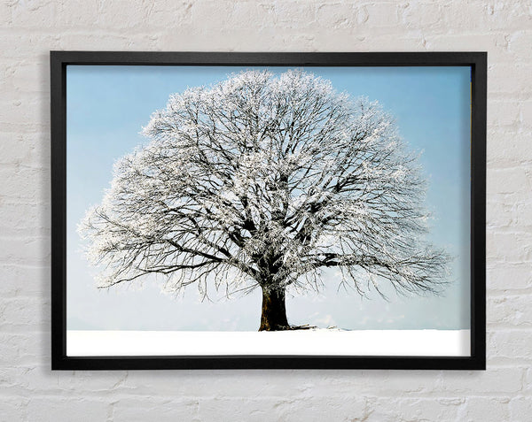 Snow Tree Framed Print