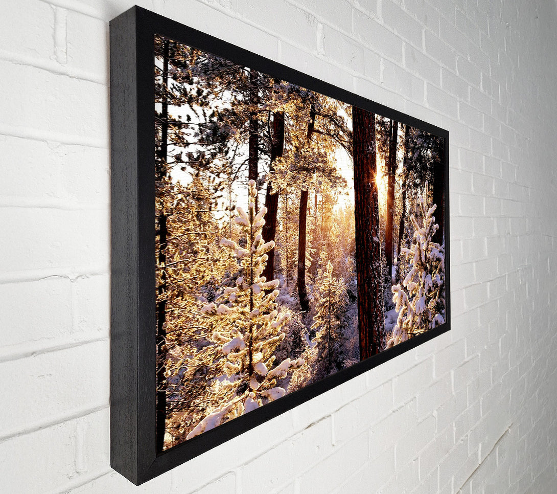  A Canvas Print of Winter Woodland Canvas Wall Art