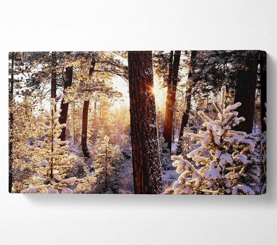  A Canvas Print of Winter Woodland Canvas Wall Art