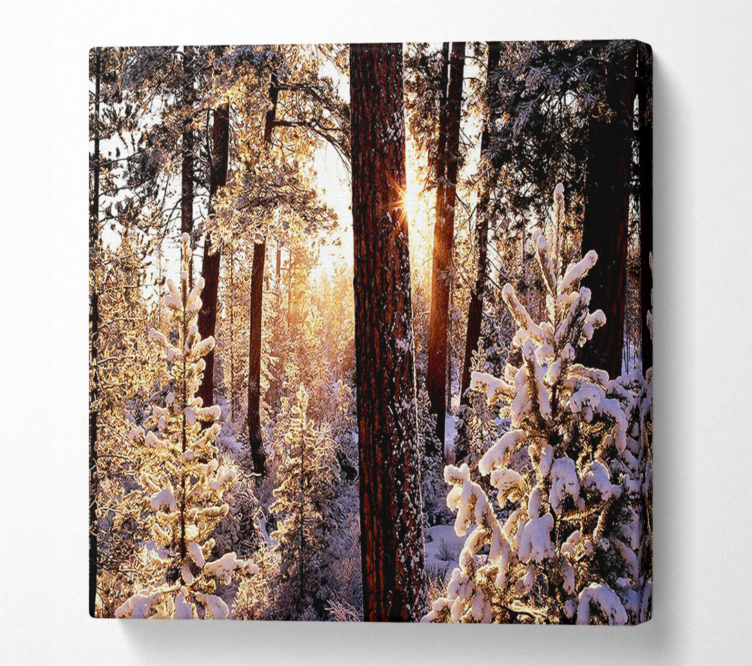  A Canvas Print of Winter Woodland Canvas Wall Art