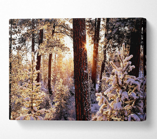  A Canvas Print of Winter Woodland Canvas Wall Art