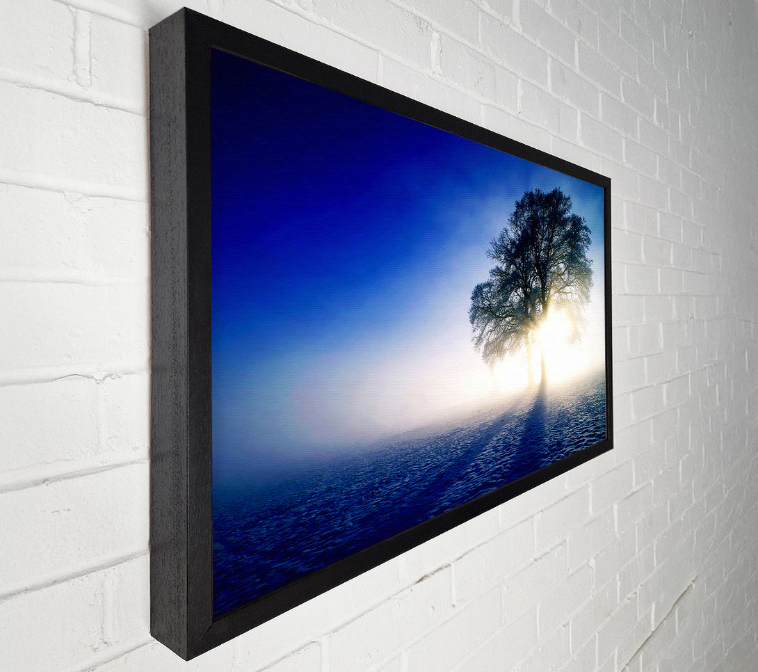 A Canvas Print of Misty Tree At Sunrise Canvas Art
