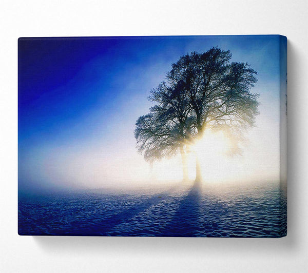  A Canvas Print of Misty Tree At Sunrise Canvas Art
