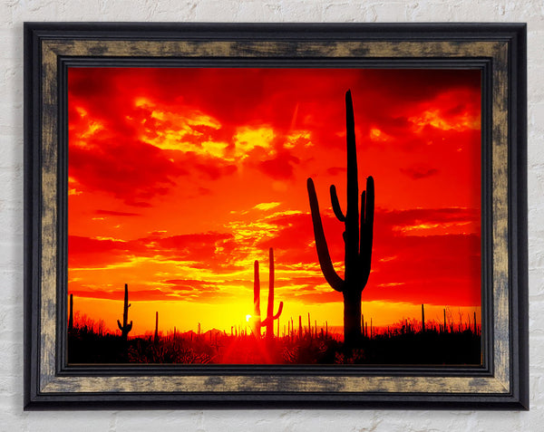Red Desert Cactus Framed Print