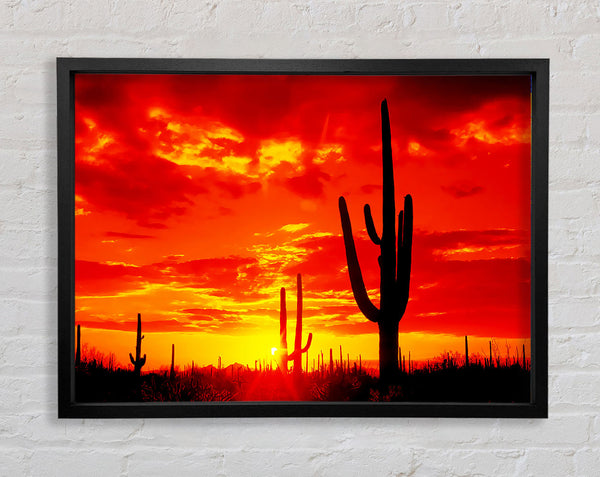 Red Desert Cactus Framed Print