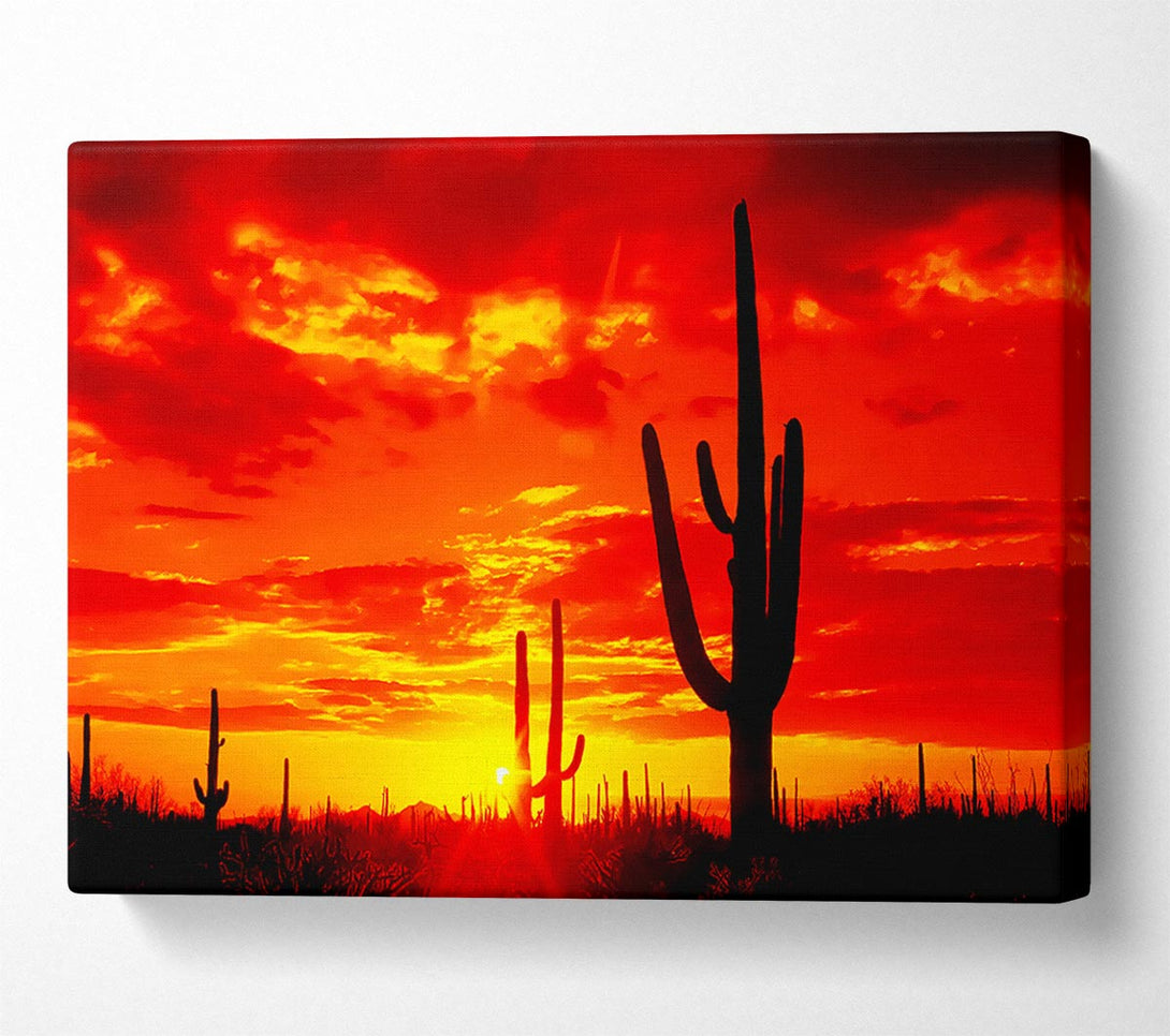  A Canvas Print of Red Desert Cactus Canvas Print