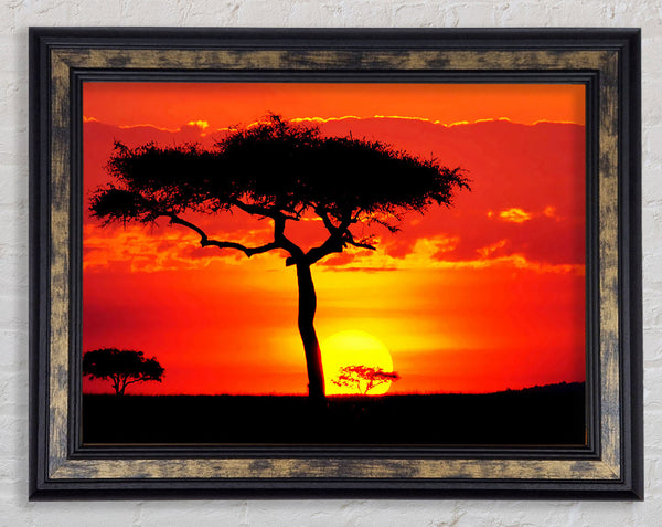 Glowing Orange African Tree Framed Print