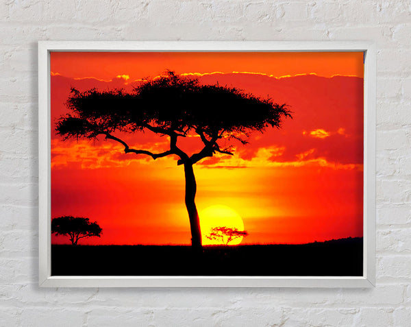 Glowing Orange African Tree Framed Print
