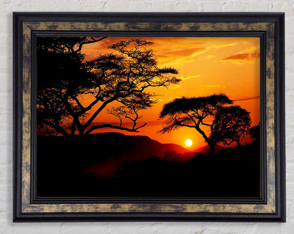 Orange Sun Sky Blaze Framed Print
