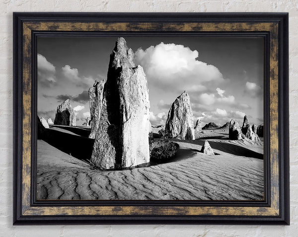 Desert Architect B n W Framed Print