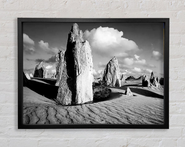 Desert Architect B n W Framed Print