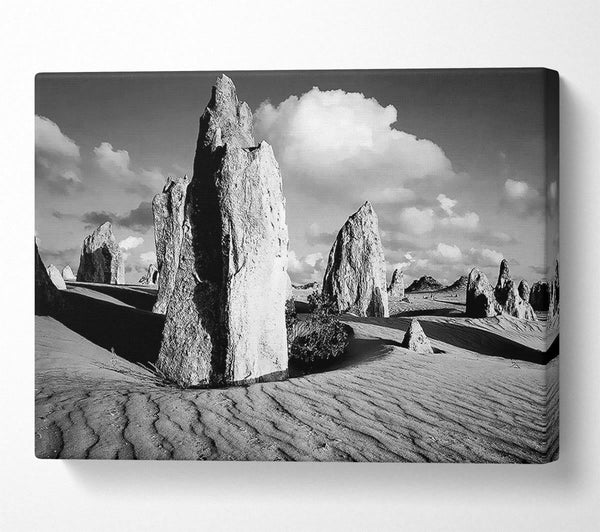  A Canvas Print of Desert Architect B n W Canvas Print
